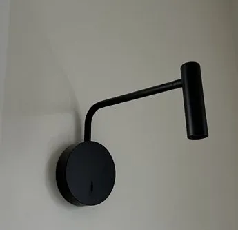 Black gooseneck wall sconce