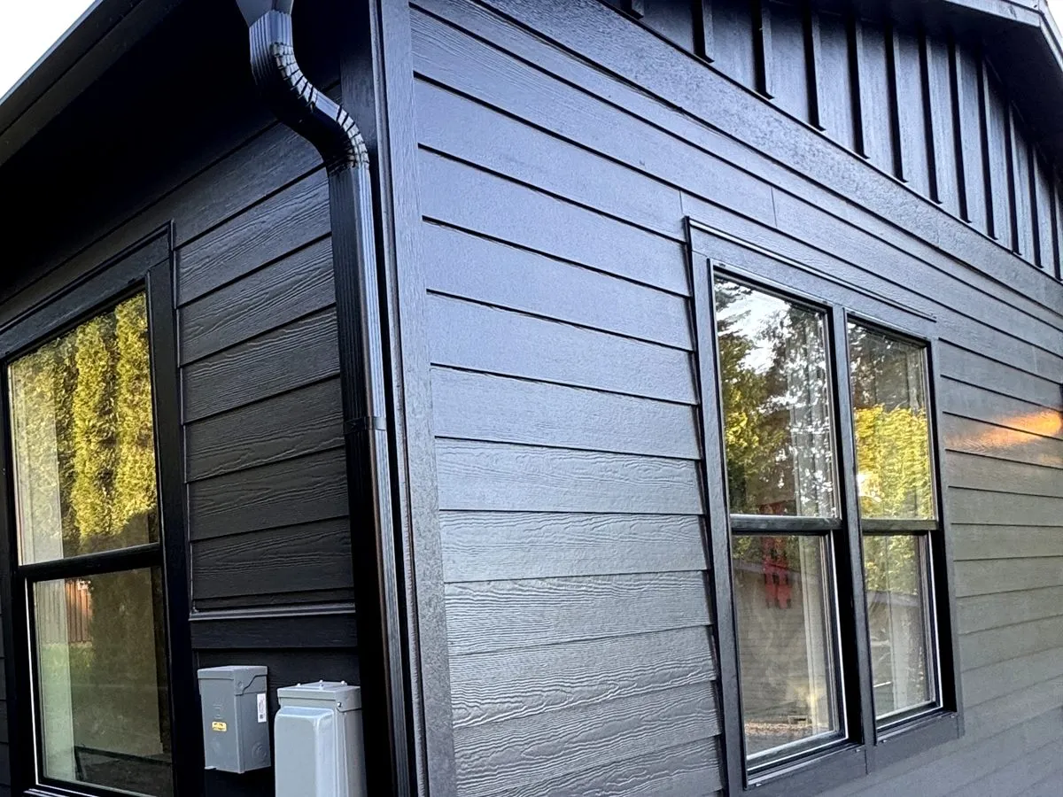 Black trim windows