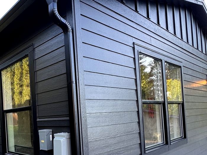 Black trim windows