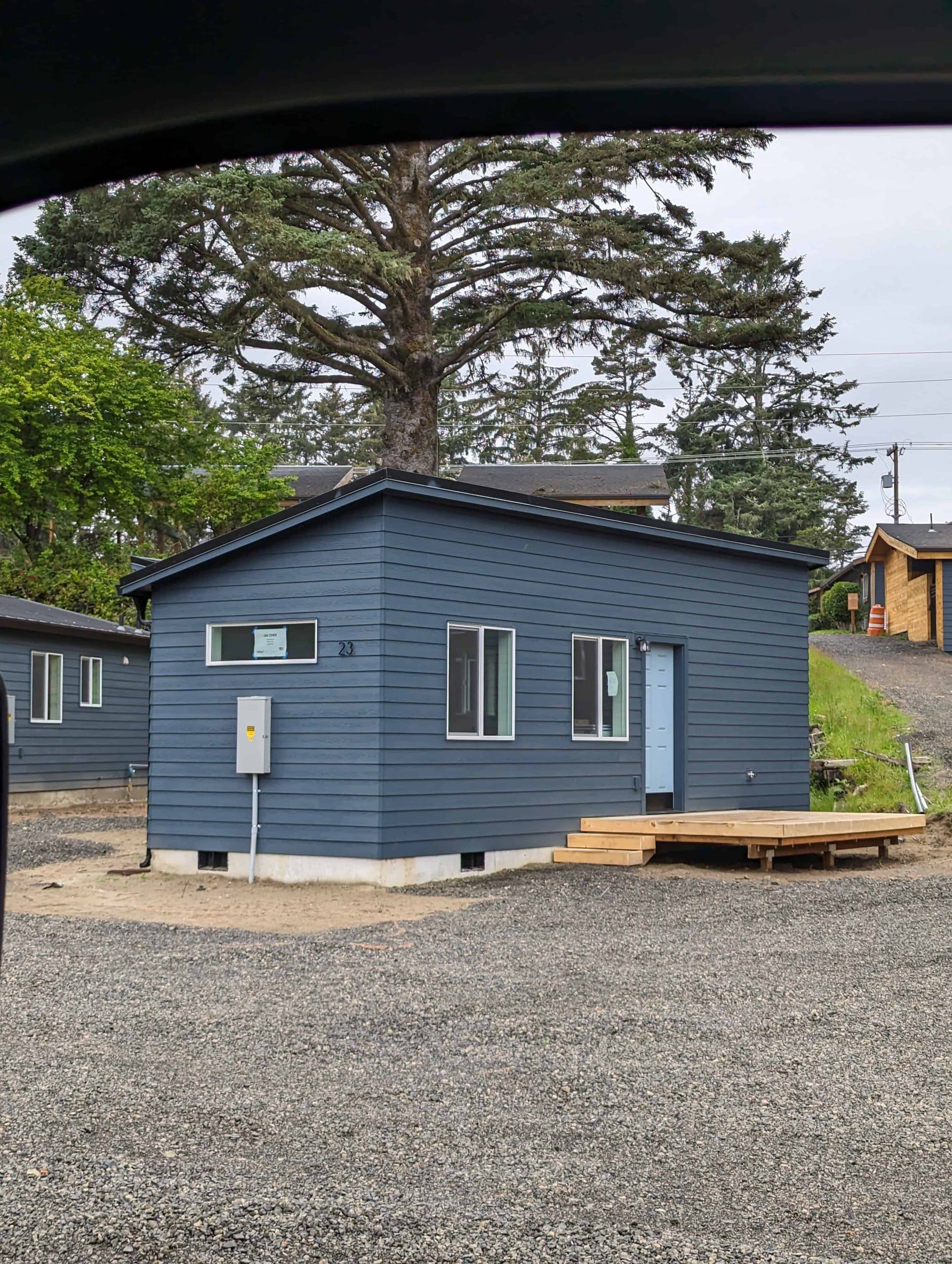 Dark blue Wolf Model B with a shed roof, a light-blue door, and a small wood deck among trees