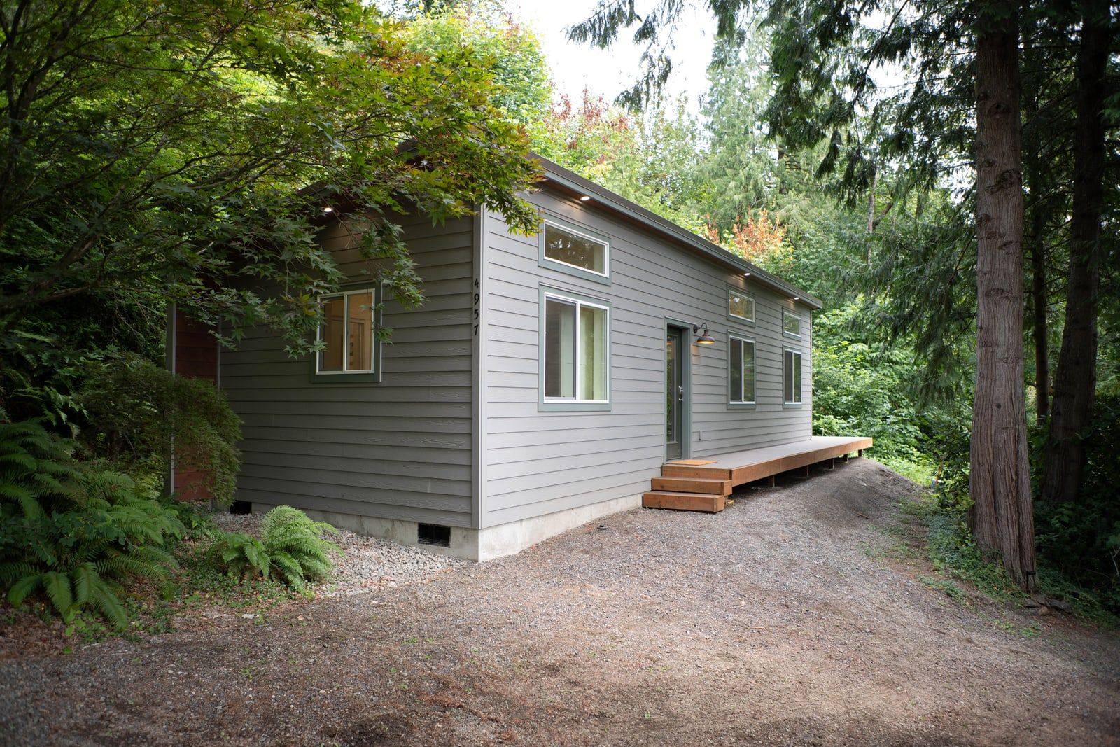 Gray Wolf Model E with a shed roof and wood entry deck framed by ferns and trees in Woodland