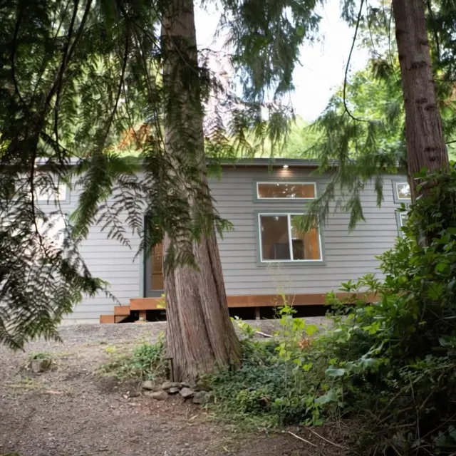 Gray Wolf Model E home with transom windows seen through trees.