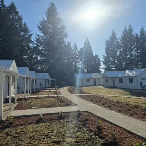 White Wolf Model F cottages and longer Model E homes around a courtyard walkway at Orchards.