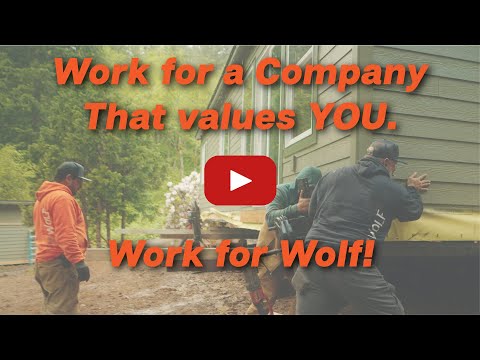 Wolf is hiring