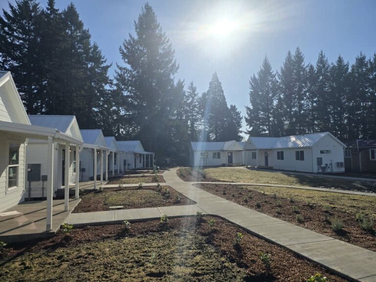 White Wolf Model F cottages and longer Model E homes around a courtyard walkway at Orchards.